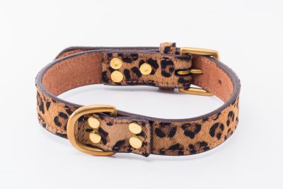 Cheetah designer leather dog collar by IWOOF