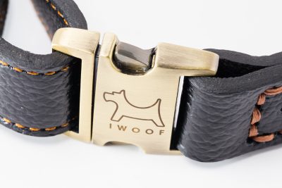Royal Designer dog collar by IWOOF