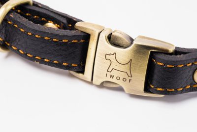 Royal designer leather dog collar by IWOOF