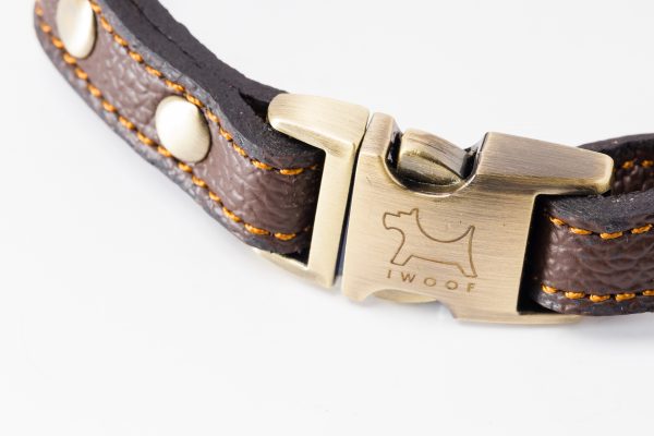 Royal designer dog collar by IWOOF