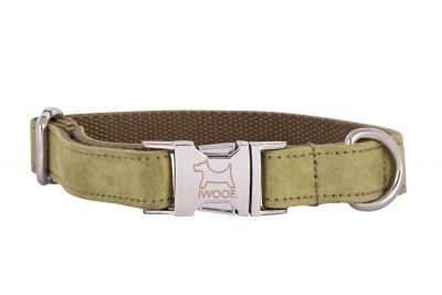 Woodpecker designer dog collar and matching designer dog lead by IWOOF