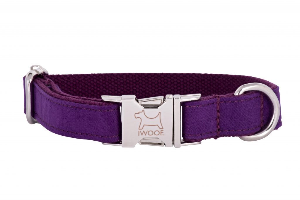 AMETHYST Designer Dog Collar and Lead set by in Designer Dog