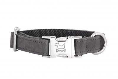 Dolphin designer dog collar and matching designer dog lead by IWOOF