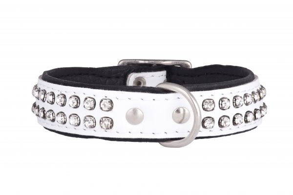 Essex white leather designer dog collar and dog lead by IWOOF
