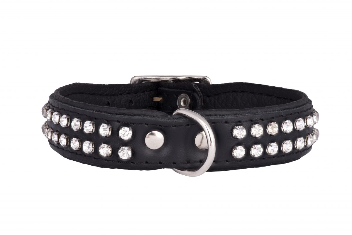 ESSEX Designer Dog Collar and Lead in Black by in Designer Dog Collars and Leads