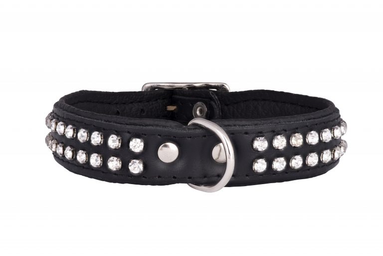 ESSEX Designer Dog Collar and Lead in Black by in Designer