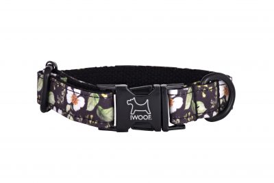 Cadgwith designer dog collar with black buckle