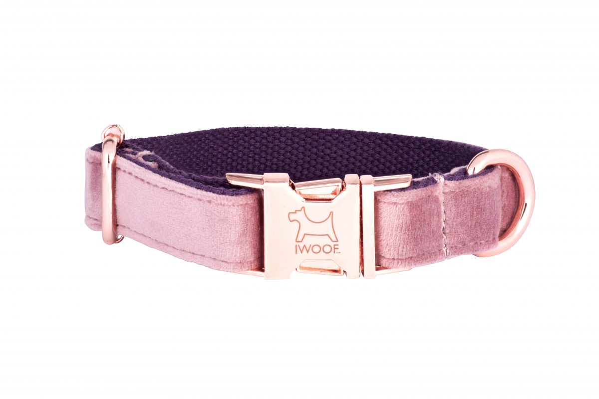 PINK PANTHER Designer Dog Collar and Lead set in Rose Gold by