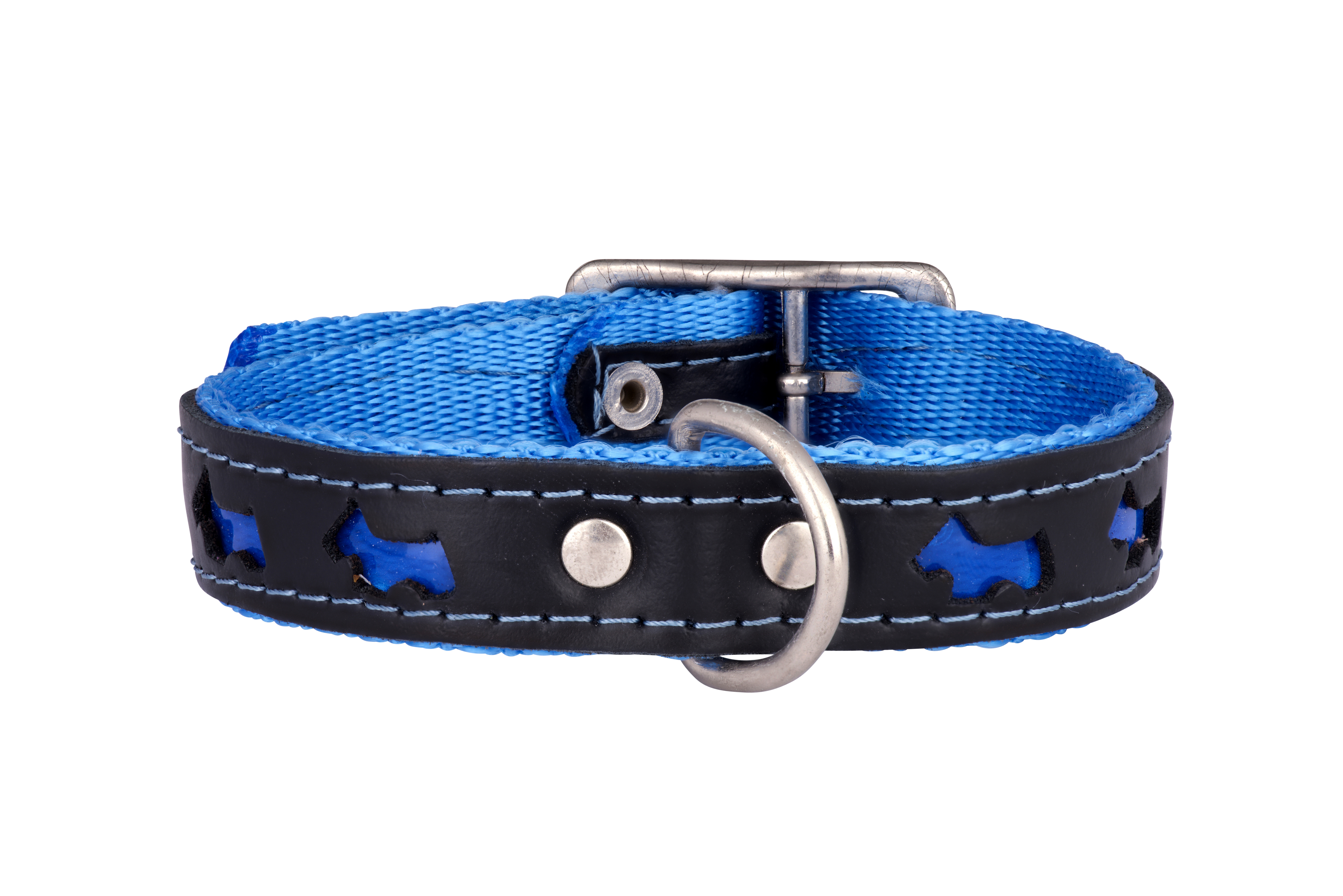 REFLEX Leather Designer Dog Collar and Lead in Blue by in Designer Dog Collars and Leads