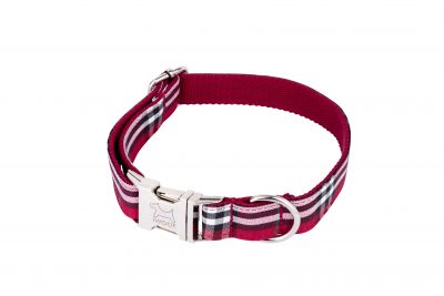Tomato designer dog collar and dog lead set by IWOOF