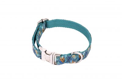 Moorland designer dog collar with silver buckle by IWOOF