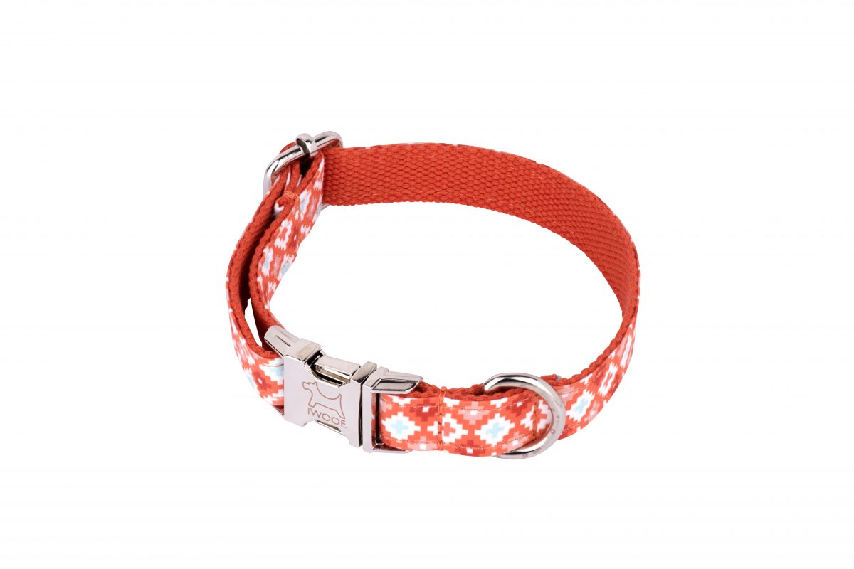 MARMALADE Designer Dog Collar and Lead set by in Designer
