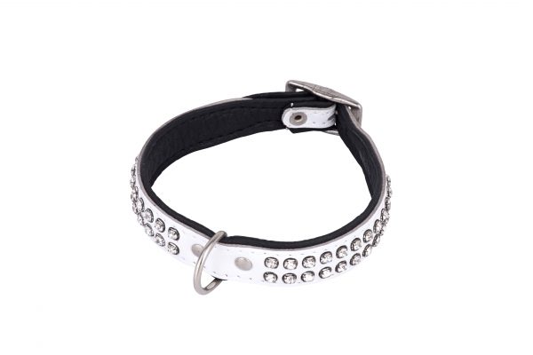 Essex white leather designer dog collar and dog lead by IWOOF