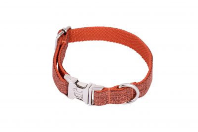 Sun Rise designer dog collar and matching designer dog lead by IWOOF