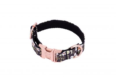 Cadgwith designer dog collar and dog lead with Rose Gold buckle
