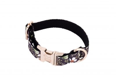 Cadgwith designer dog collar and dog lead by IWOOF