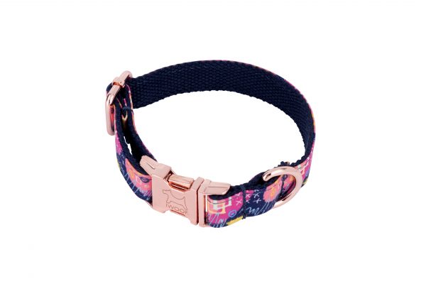 Harvest designer dog collar and matching dog lead set by IWOOF with Rose Gold buckle