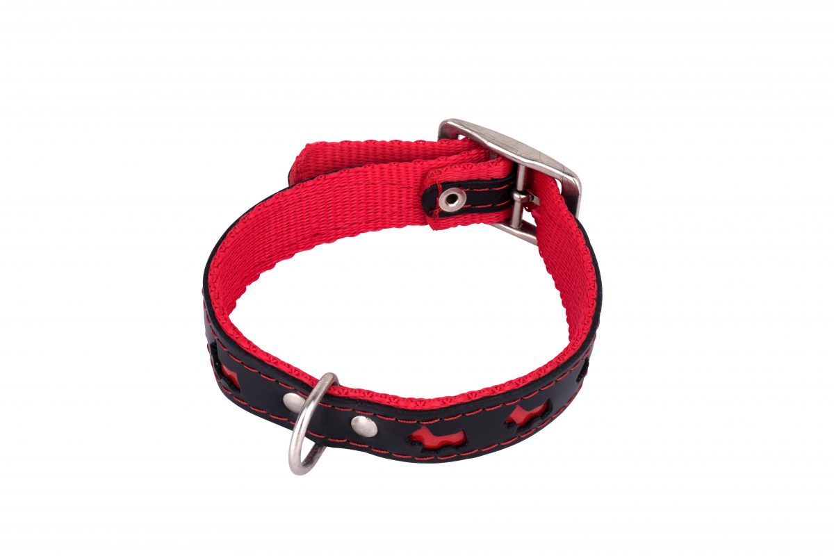 REFLEX Leather Designer Dog Collar and Lead in Red by in