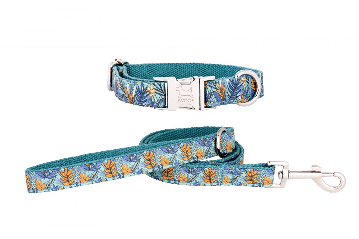 MOORLAND Designer Dog Collar and Lead set by in Designer Dog