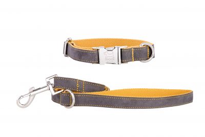 Seal Grey designer dog collar and dog lead by IWOOF