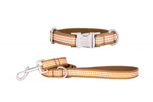 Orange Tart designer dog collar and matching designer dog lead by IWOOF