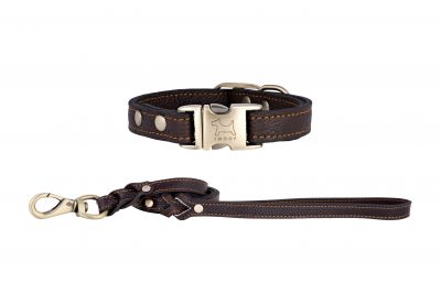 Royal Brown designer leather dog collar and matching leather dog lead by IWOOF