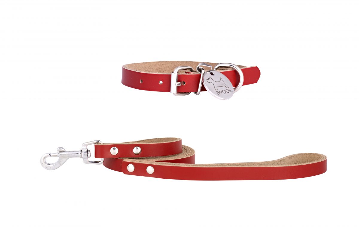 MORWENNA Designer Dog Collar and Dog Lead in Red by in