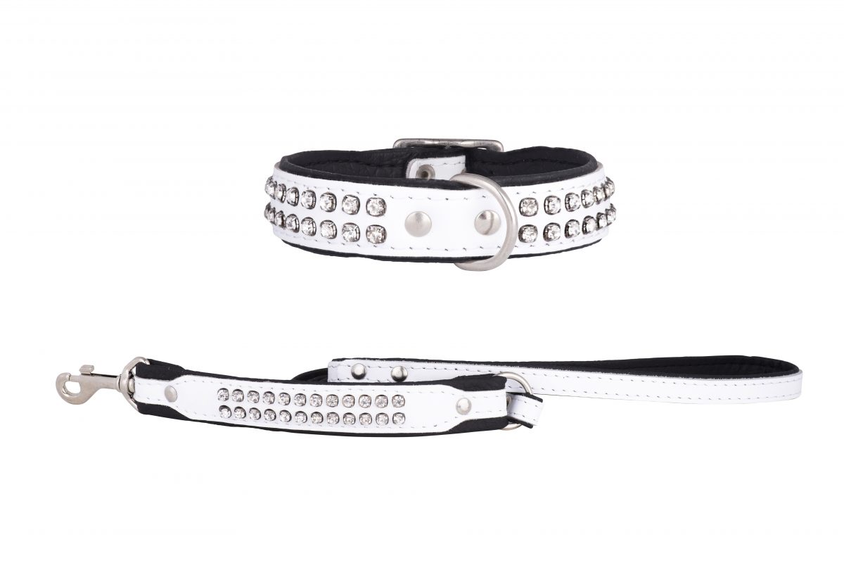 ESSEX Designer Dog Collar and Lead in White by in Designer