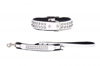Essex designer leather dog collar and matching leather dog lead by IWOOF