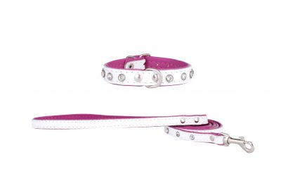 Mini white designer leather dog collar and dog lead by IWOOF