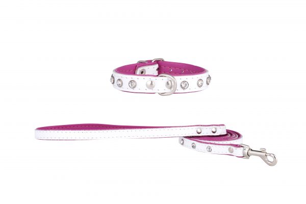 Mini white designer leather dog collar and dog lead by IWOOF