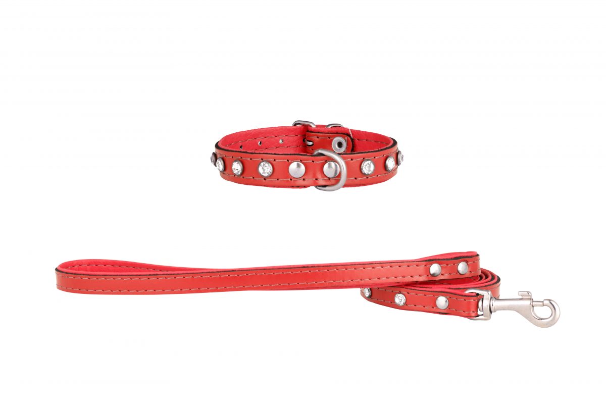 Mini designer leather dog collar and lead in Red by in