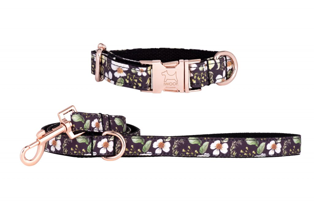 CADGWITH Designer Dog Collar and Lead set in Rose Gold by in