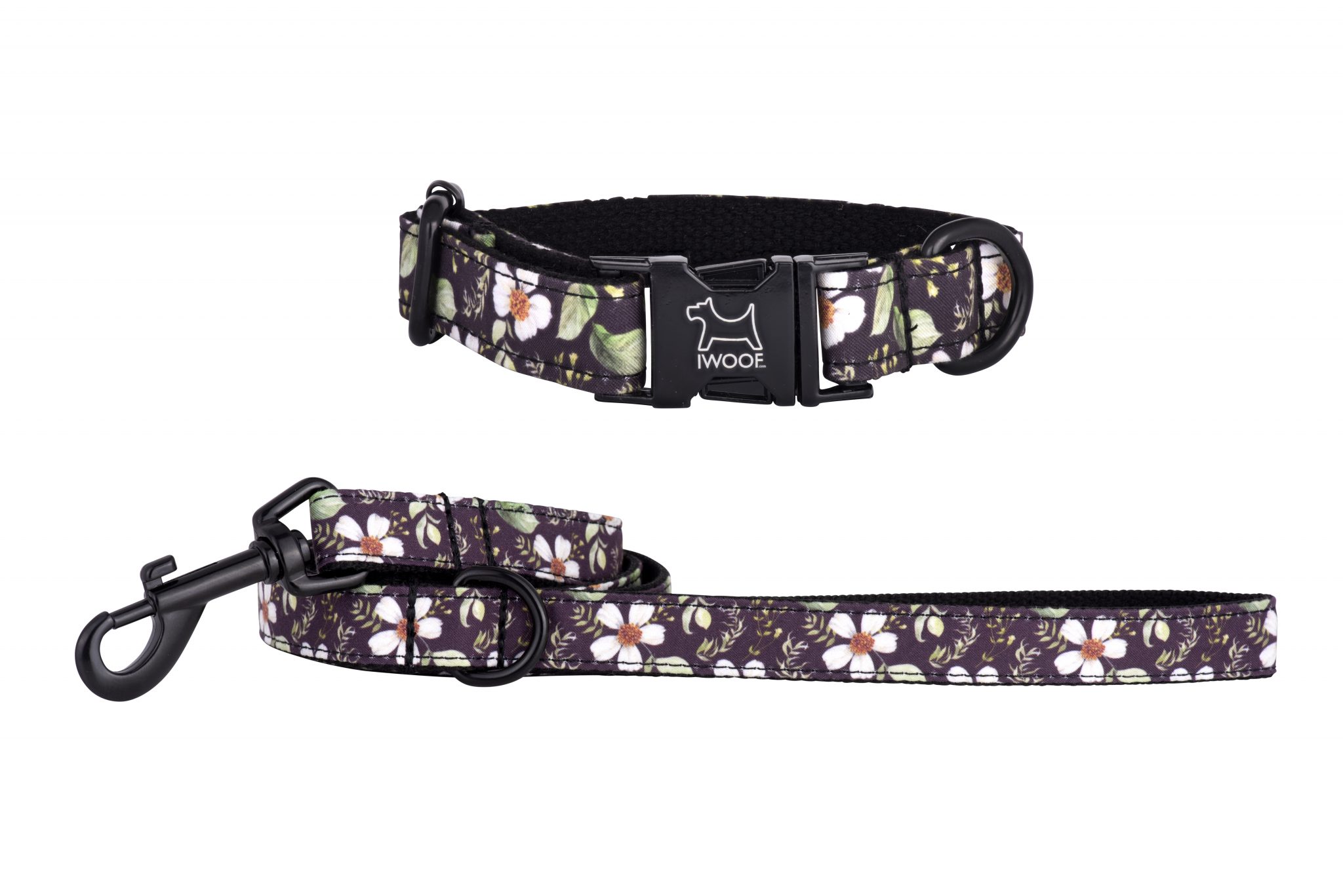 Cadgwith designer dog collar and dog lead with black buckle