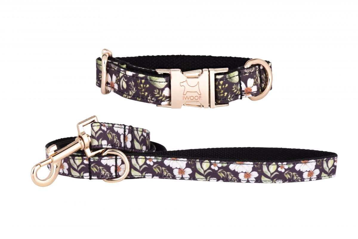 CADGWITH Designer Dog Collar and Lead set in Silver by in