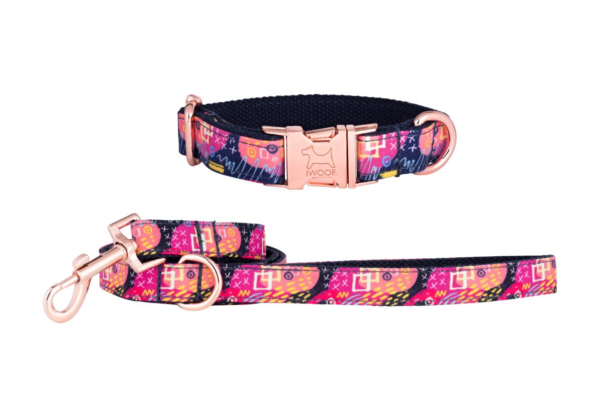 HARVEST Designer Dog Collar and Lead set in Rose Gold by in