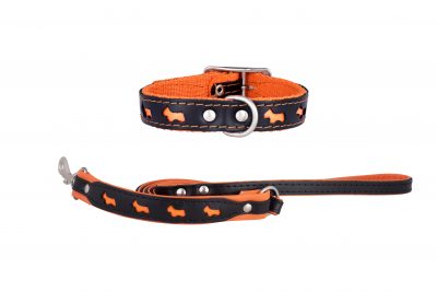 Reflex designer dog collar and dog lead by IWOOF