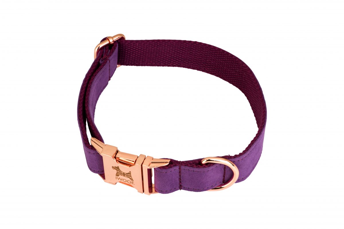 AMETHYST British Designer Dog Collar and Lead set by in