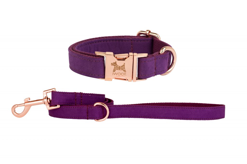 AMETHYST British Designer Dog Collar and Lead set by in