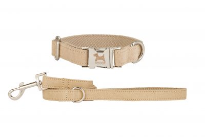 Sand Dune dog collar and lead by IWOOF