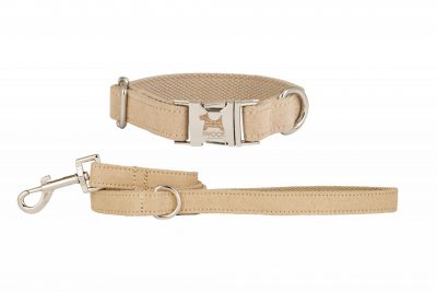 Sand Dune dog collar and lead by IWOOF