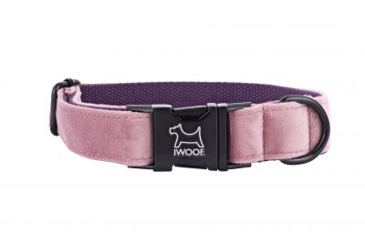 Pink Panther designer dog collar by IWOOF with black buckle