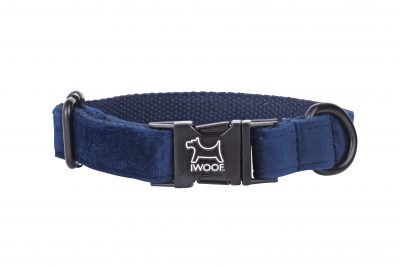 Sapphire designer dog collar with black buckle