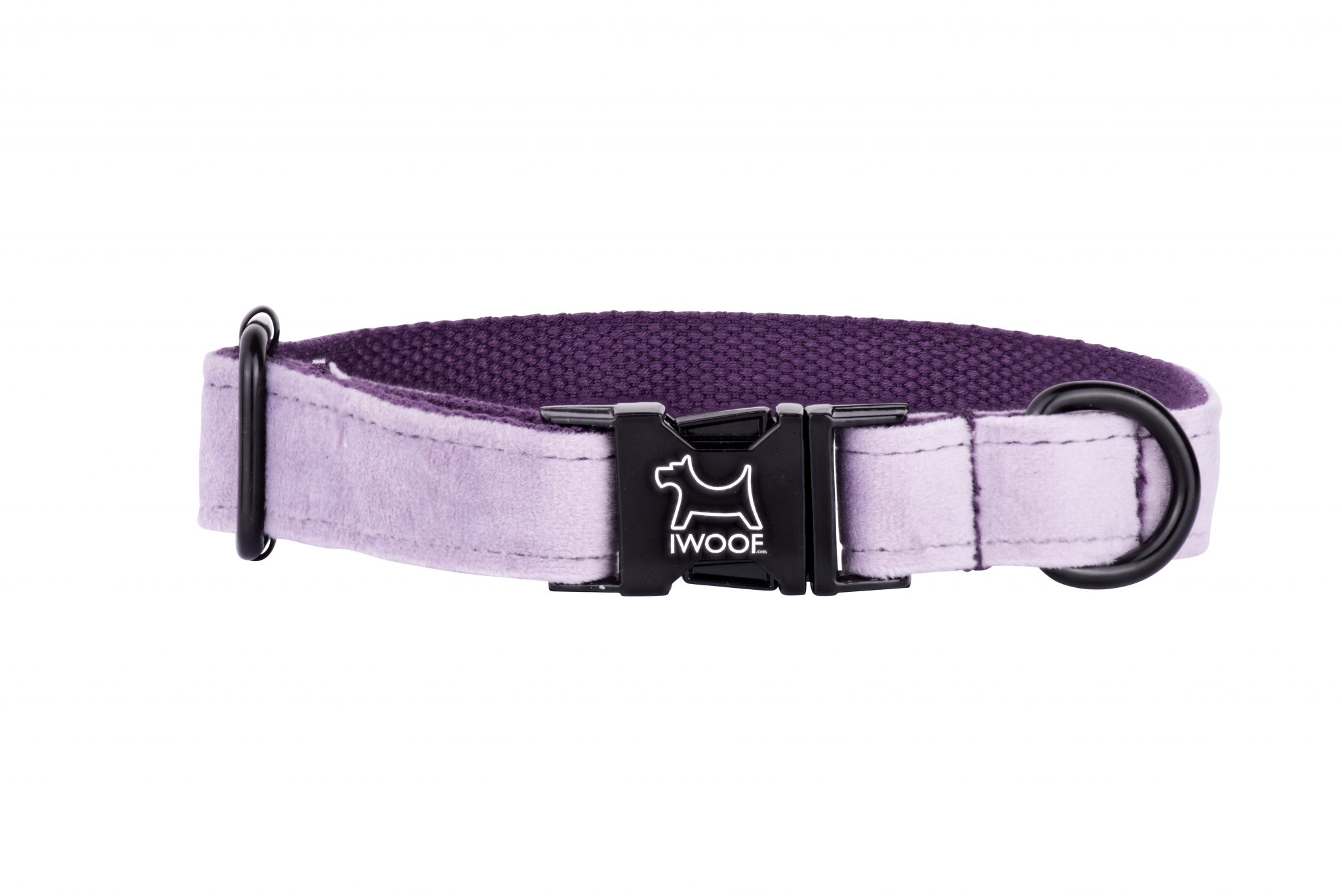 Lavender designer dog collar by IWOOF with black buckle