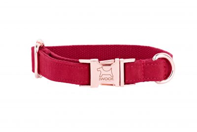 Designer Dog Collar in Strawberry