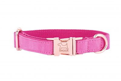 PINK designer dog collar by IWOOF with rose gold buckle