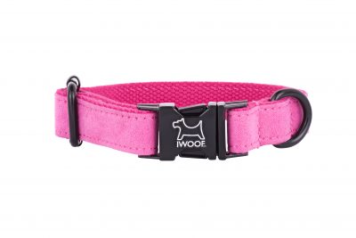PINK designer dog collar by IWOOF with black fittings