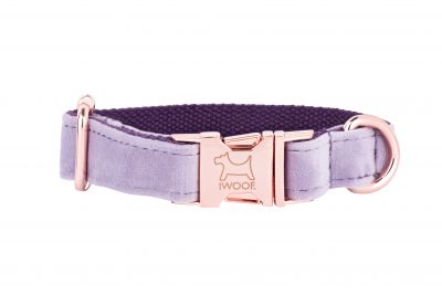 Lavender designer dog collar by IWOOF with rose gold buckle