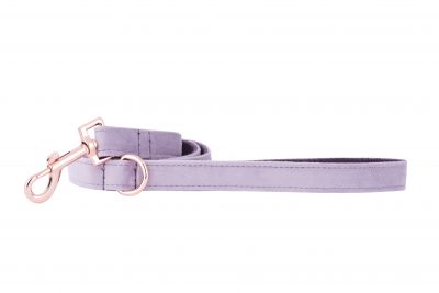 Lavender designer dog lead by IWOOF with rose gold fittings