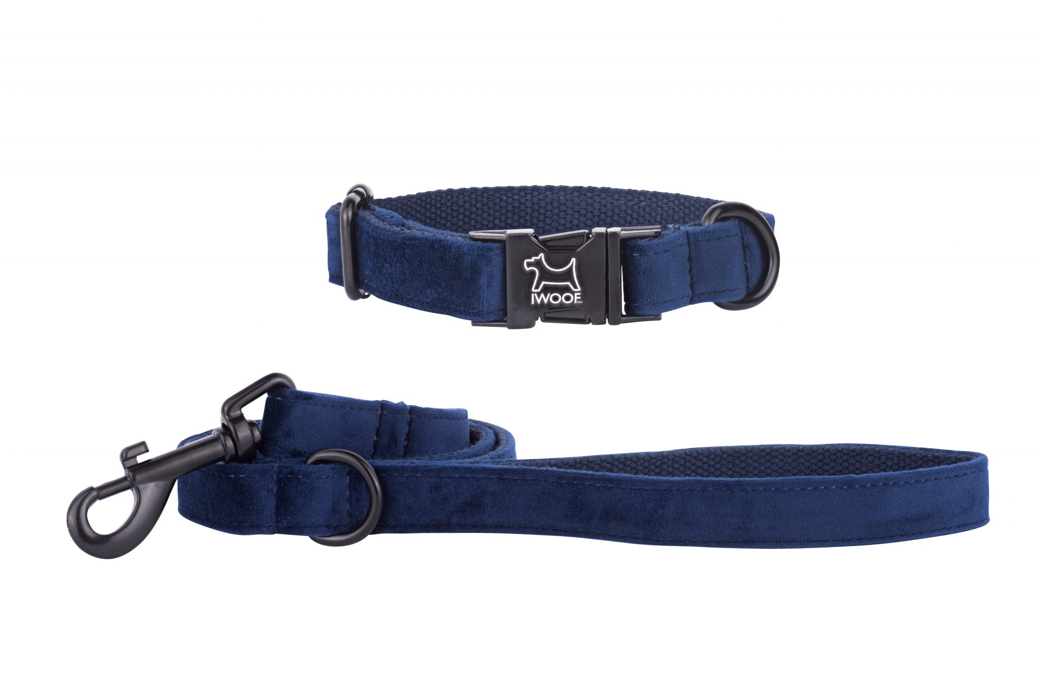 Sapphire designer dog collar and matching dog lead by IWOOF with black fittings